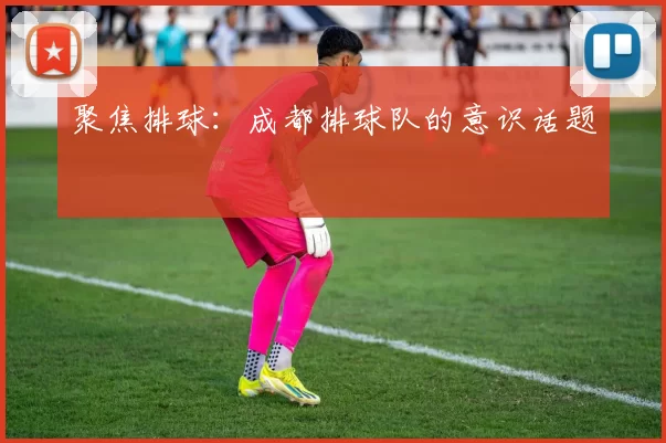聚焦排球：成都排球队的意识话题