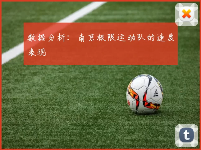 数据分析：南京极限运动队的速度表现