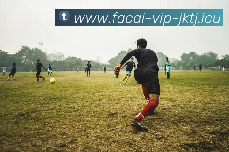 华体会体育品牌故事