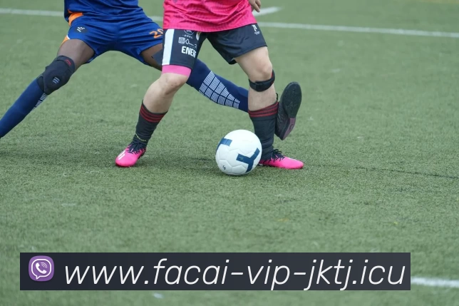 华体会体育服务体系